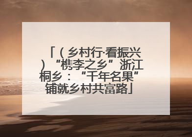 （乡村行·看振兴）“槜李之乡”浙江桐乡：“千年名果”铺就乡村共富路